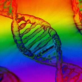 Grande estudo desmascara o mito do “gene gay” Grande estudo desmascara o mito do “gene gay”